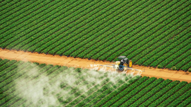 Best Ant Control Services  in Carthage, MO